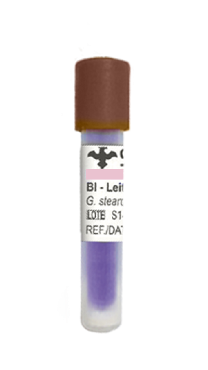 Indicador Biológico 24H p/ Vapor